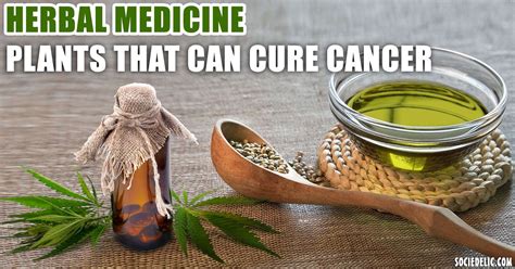 medicinal herbs for cancer